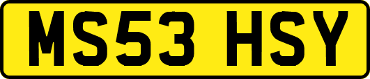 MS53HSY