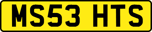 MS53HTS