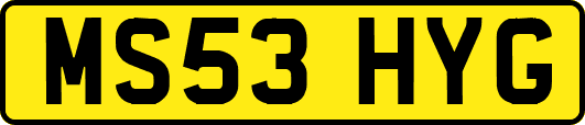 MS53HYG