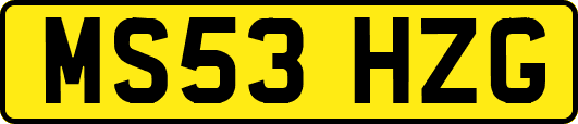 MS53HZG
