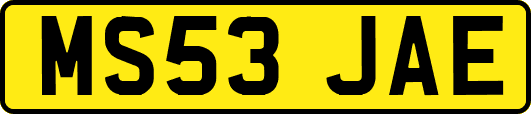 MS53JAE