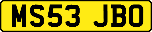 MS53JBO
