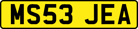 MS53JEA