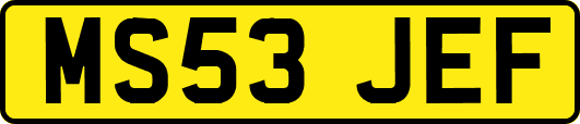 MS53JEF