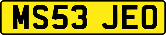 MS53JEO