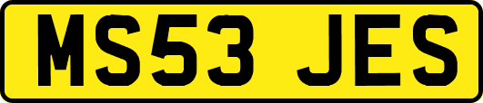 MS53JES