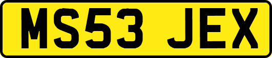 MS53JEX