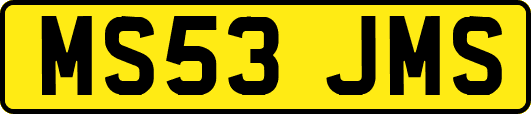 MS53JMS