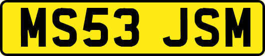 MS53JSM