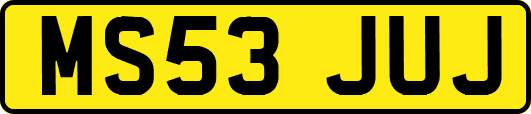 MS53JUJ