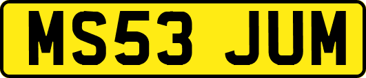 MS53JUM