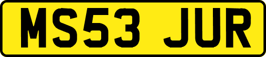 MS53JUR