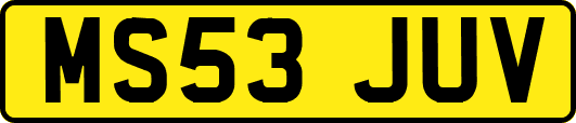 MS53JUV