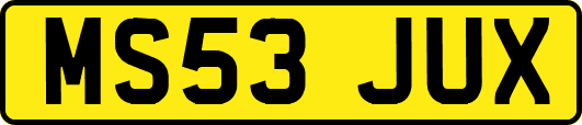 MS53JUX