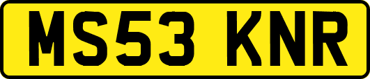MS53KNR
