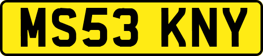 MS53KNY