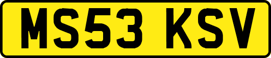 MS53KSV
