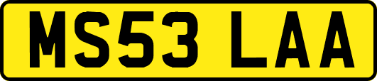 MS53LAA