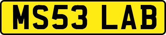 MS53LAB