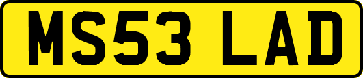MS53LAD