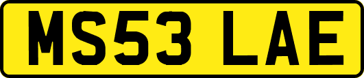 MS53LAE