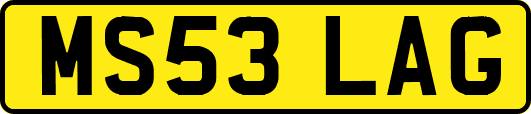 MS53LAG
