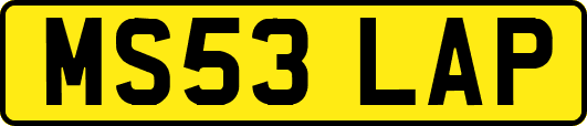 MS53LAP