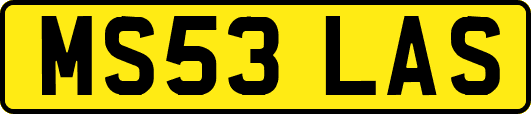 MS53LAS