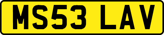 MS53LAV