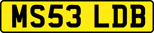 MS53LDB