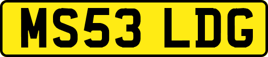 MS53LDG
