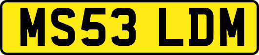 MS53LDM