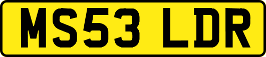 MS53LDR