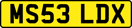 MS53LDX