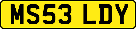 MS53LDY