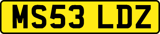 MS53LDZ