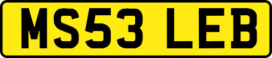MS53LEB