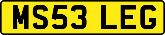 MS53LEG