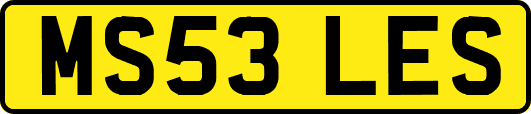 MS53LES