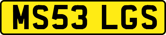 MS53LGS