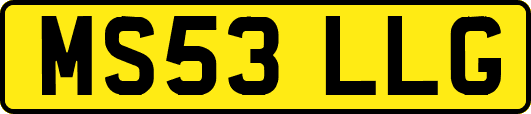 MS53LLG