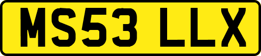 MS53LLX