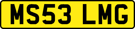 MS53LMG