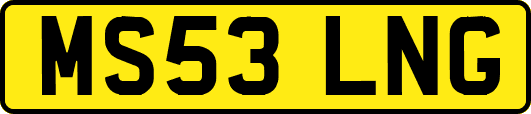 MS53LNG