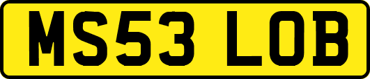 MS53LOB