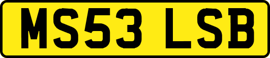 MS53LSB