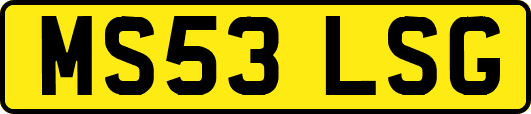 MS53LSG