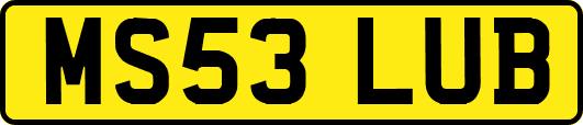 MS53LUB