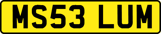 MS53LUM