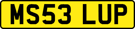 MS53LUP